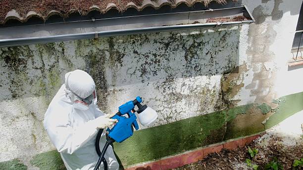 Trusted Mold Testing service in Lebanon, VA - Cheap Mold Removal